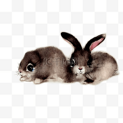 两只可爱的兔子水墨