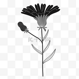 创意黑白单色涂鸦手绘花朵