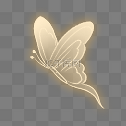 发光金色昆虫蝴蝶