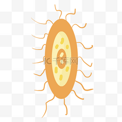 橙色黄色细菌卡通微生物