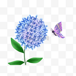 蓝色绣球花图片_蓝色绣球花和蝴蝶