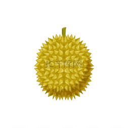 黄色的菠萝蜜素材图片_榴莲异国情调的甜点，美味的黄色