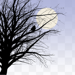 倒影的月亮图片_树枝秋季树木枝干剪影