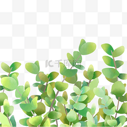 植物装饰水彩尤加利叶边框