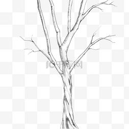 素描小树图片_线描素描树木