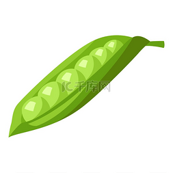 维生素丸e图片_风格化豌豆的插图蔬菜图标食品风