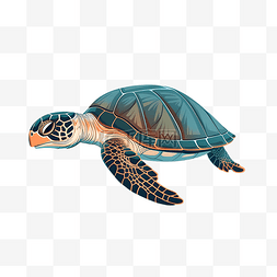 卡通海洋海龟玳瑁手绘