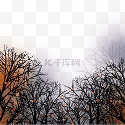 干枯树枝背景图片_天空下的干枯树枝冬天光效边框