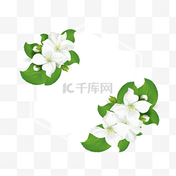 艺海报图片_白色水彩玉兰花卉边框