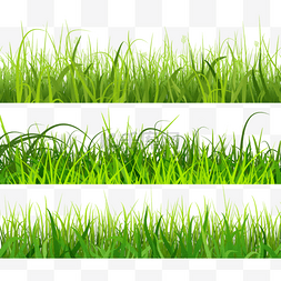 绿色叶片春季复活节绿色草地