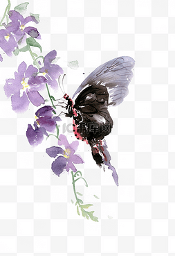 蝴蝶花卉素材图片_紫色花与黑蝴蝶水墨
