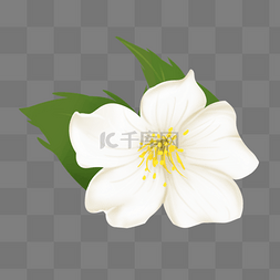 苹果创意画图片_绿色花瓣白色花朵插画