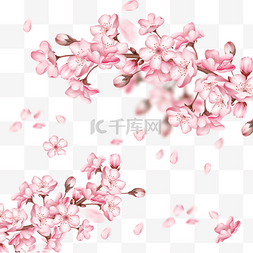 春季光效樱花飞舞日本花瓣飘落