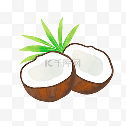 热带水果季图片_热带水果椰子