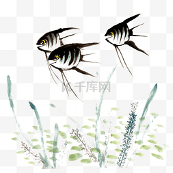 水草与热带鱼水墨