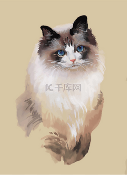 动物素描猫咪图片_猫图矢量水彩肖像