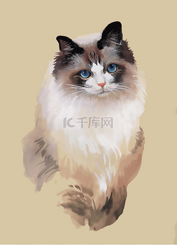 宠物猫素描图片_猫图矢量水彩肖像