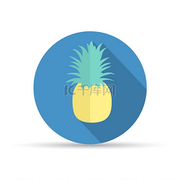 新鲜的菠萝水果图片_热带水果菠萝。
