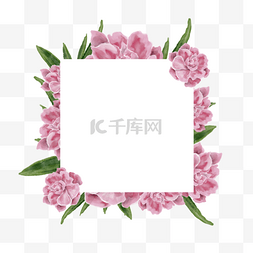 水彩粉色夹竹桃花卉几何边框