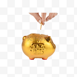 金钱图标图片_金色小猪存钱罐