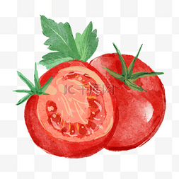 带叶子的西红柿图片_西红柿带叶子水彩蔬菜水果