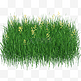 绿色仿真草地草坪草皮野花