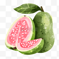 装西瓜汁图片_番石榴水彩水果灌木植物