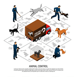 猫狗宠物背景图片_动物控制机构服务的等距海报上有