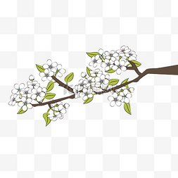 二十四节气惊蛰春天梨花树