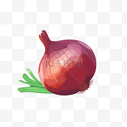 洋红色水墨图片_卡通蔬菜洋葱圆葱扁平手绘