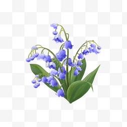 蓝色婚礼花卉图片_蓝色铃兰花婚礼花卉