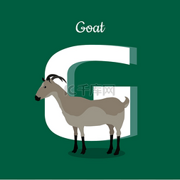草山羊图片_动物字母表矢量的概念。