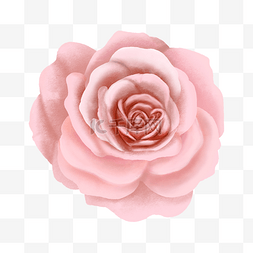 玫瑰免扣元素图片_母亲节妇女节女神节粉色玫瑰免扣