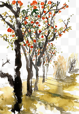 深秋的柿子树
