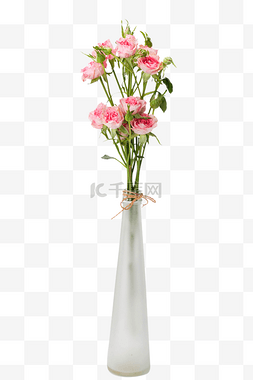 泡泡玫瑰花鲜花花瓶