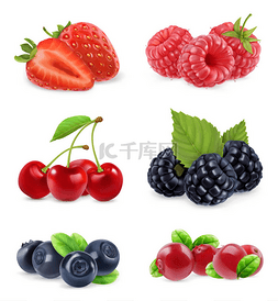水果促销元素图片_森林莓果。甜的水果。现实的例证