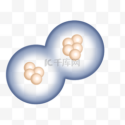 干细胞分化图图片_科技生物细胞分裂