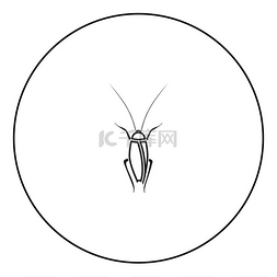 圆形轮廓矢量图中的蟑螂图标黑色