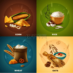 大米小麦玉米图片_四个孤立的谷物设计概念或图标集