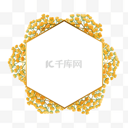 艾菊花卉水彩多边形边框