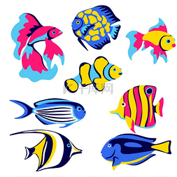 颜色鲜艳的蝴蝶图片_一组热带鱼海洋生物水族馆和海洋