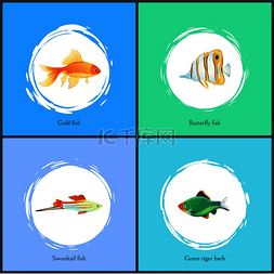 海洋蝴蝶鱼图片_金色的鱼和绿色的虎刺海报套装箭