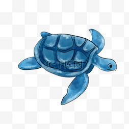 水彩海洋动物海龟
