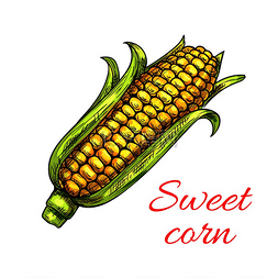 耳朵图标图片_甜玉米蔬菜图标素食新鲜食品产品
