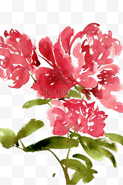 墨画图片_中国风水墨画红色的牡丹花