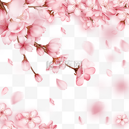 春季粉色樱花边框光效花瓣飘落