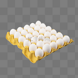 白皮鸡蛋免费下载图片_营养土鸡蛋白鸡蛋