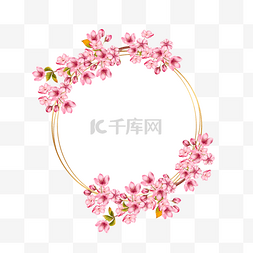 粉色樱花开放春天环绕边框