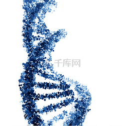 孤立在白色背景上的 dna 螺旋矢量