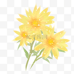 发光植物png图片_发光的向日葵花朵